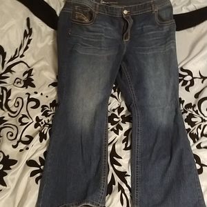 Lane Bryant Jeans